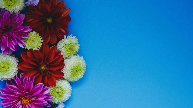 使得快船在 使得快船在