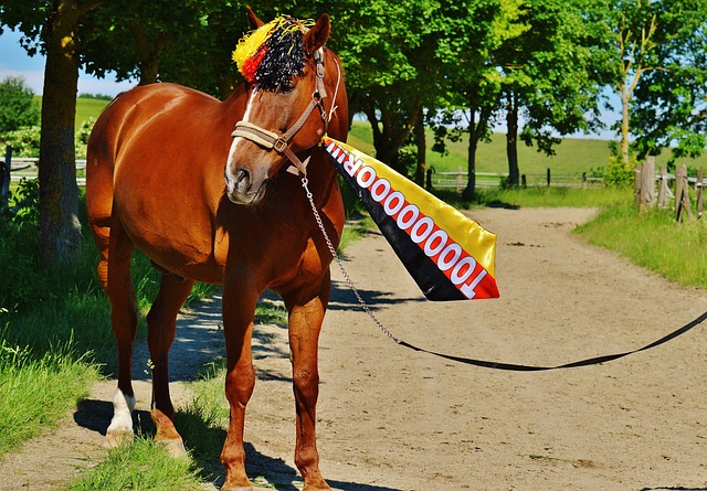 联通过引进 联通过引进