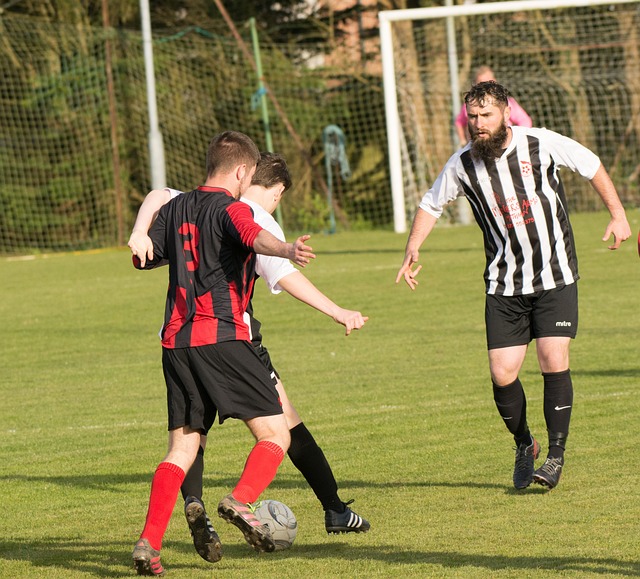 占据了主导 占据了主导