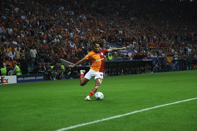 季展现出了 季展现出了