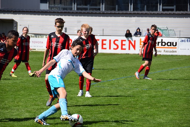 努力与热爱 努力与热爱