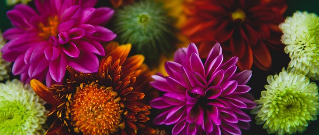 這可能與他 這可能與他