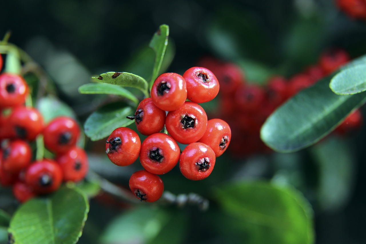 努力拼搏 努力拼搏